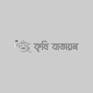 ঝিঙ্গার কাঁঠালে পোকা